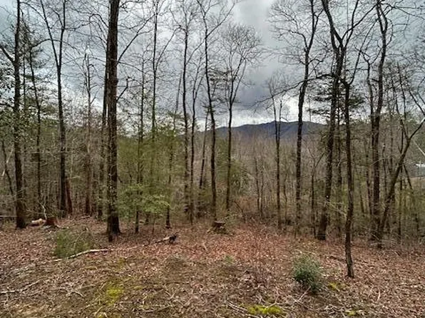 329 Beckett Ridge Rd, Townsend, TN 37882