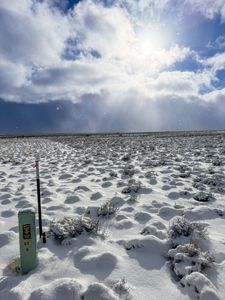 Pyrite Ave, Elko, NV, 89801