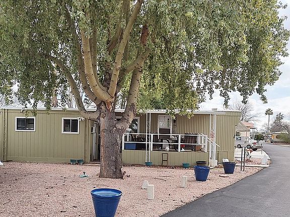 Tree keeps leaves year round