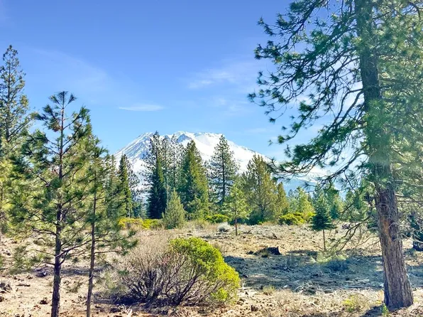 LOT 37 Hidden Meadow Dr, Weed, CA 96094