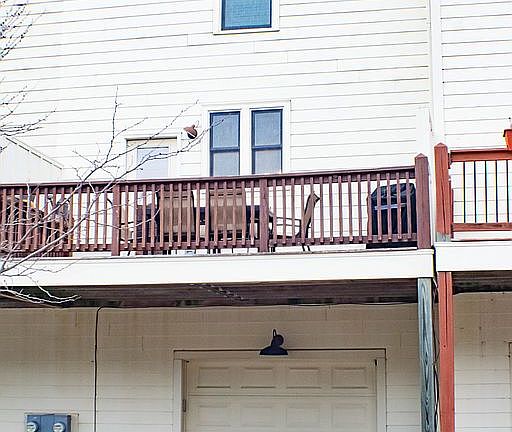 Back Deck and Garage