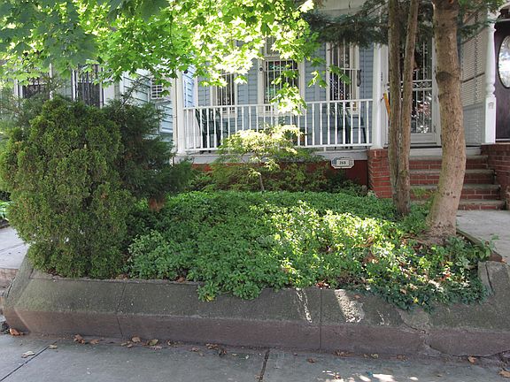 Lush and green front garden
