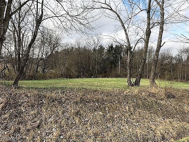 2nd image of W Smithville Western Rd