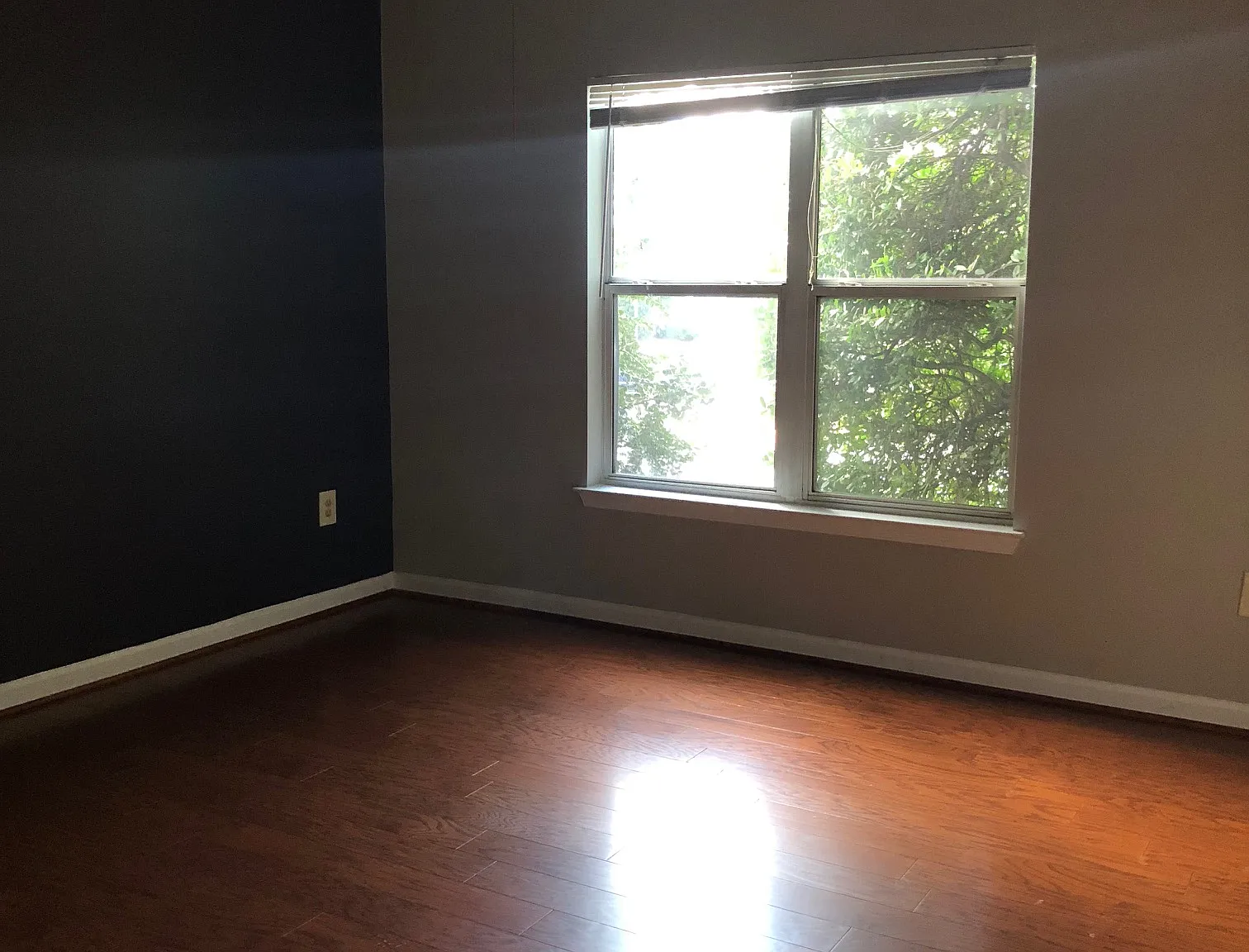 1 bed, 801 sqft, $1,950 — Photo 4