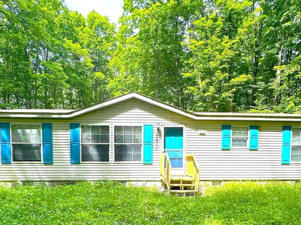 7911 Cherry Tree St NE, Kalkaska, MI 49646