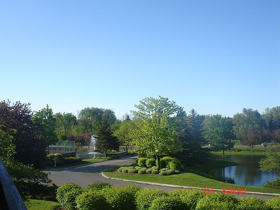 View from master bedroom