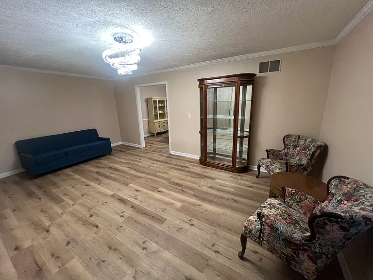 This shows a huge living room furnished with a couch, two beautiful wing back chairs, and side table and a beautiful glass curio cabinet! Brand, new sensor lighting, and LVP floors! Freshly painted!
