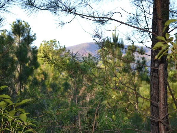 LOT 7 Skyline Rd, Turtletown, TN 37391