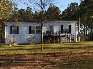 128 Butler James Rd, Attapulgus, GA 39815