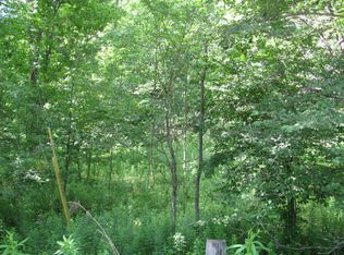 0 Nickles Rd, Prattsburgh, NY 14873