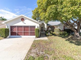 11007 Basquin Ct, Port Richey, FL 34668