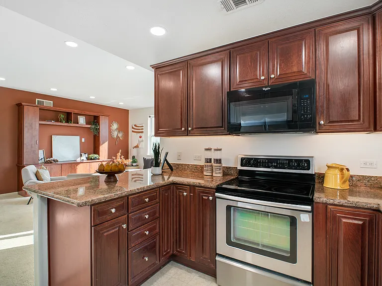49002 Cinnamon Fern Cmn #402 — Photo 43