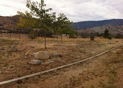 All Kinds of Landscaping Potential