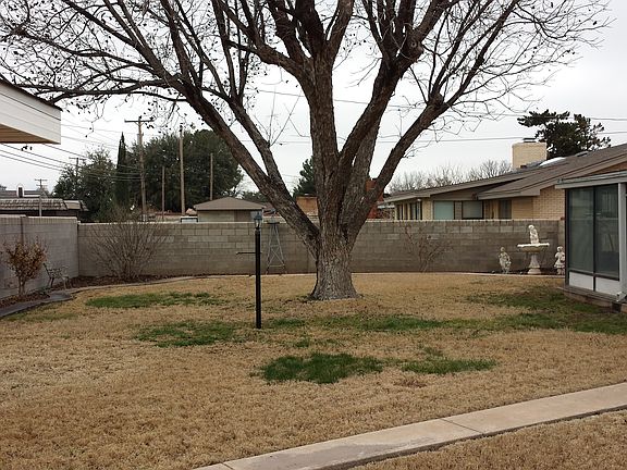 Back Yard - Large Pecan Tree