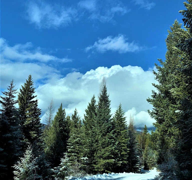 LOT 1 Butcher Creek Rd, Trego, MT 59934 Zillow