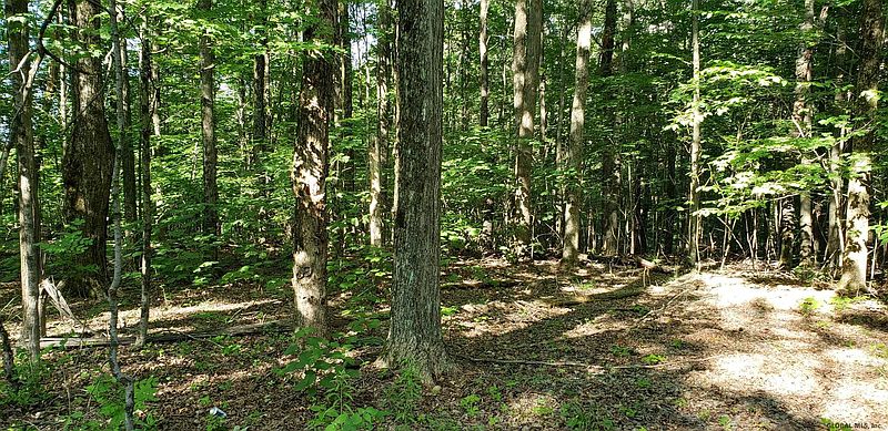 4th image of 00 SLY POND Road