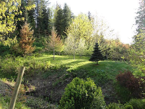 Creek and orchard