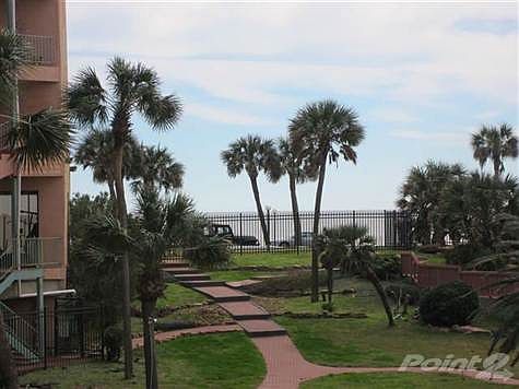 Your view from condo 121