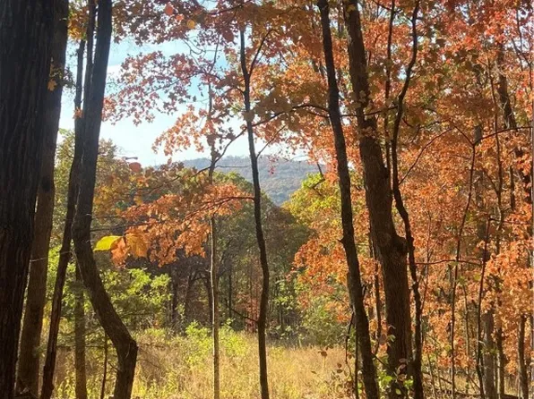 18018 Stout Mountain Rd #118, Fayetteville, AR 72701