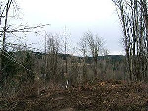 1st image of 9820 93rd Ln SE