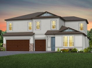 Merlot Grand Plan, Vida's Way, Wesley Chapel, FL 33545