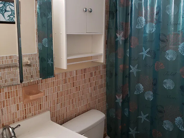 Bathroom 1 with tub and shower.