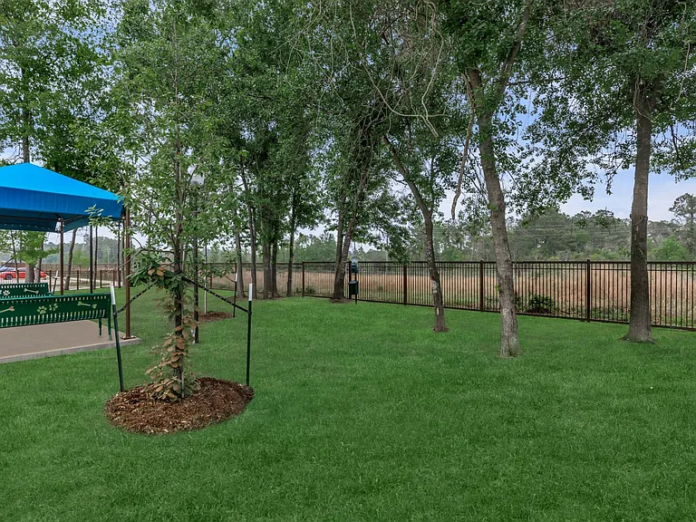 Park at Tour 18 — Photo 11