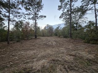 3-3A Shad Rd, Williston, SC 29853