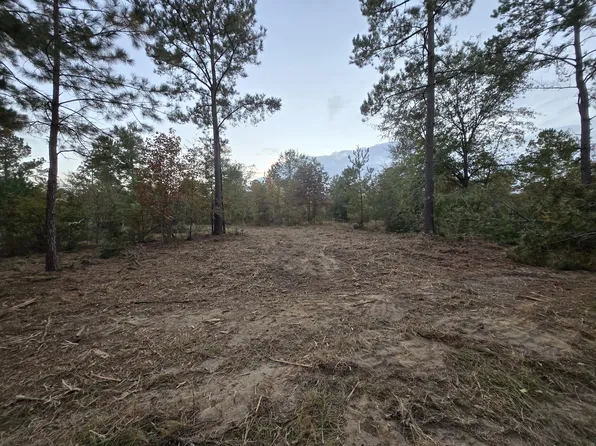 3A SHAD ROAD, Williston, SC 29853