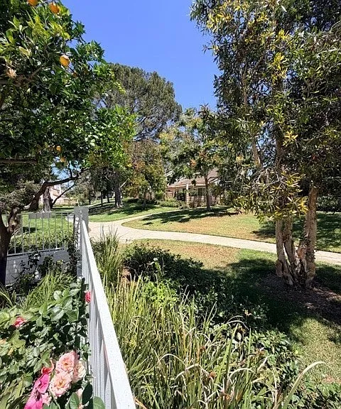 4682 Sierra Tree Ln — Photo 43