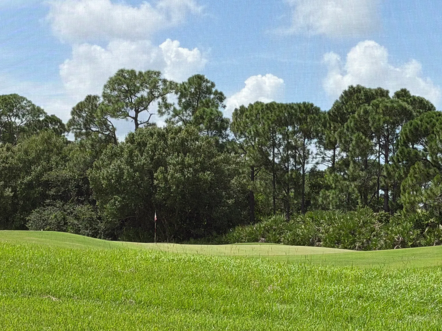 1 bed, 960 sqft, $1,660 — Photo 4