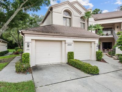 3000 Red Oak Ct APT 201, Palm Harbor, FL, 34684