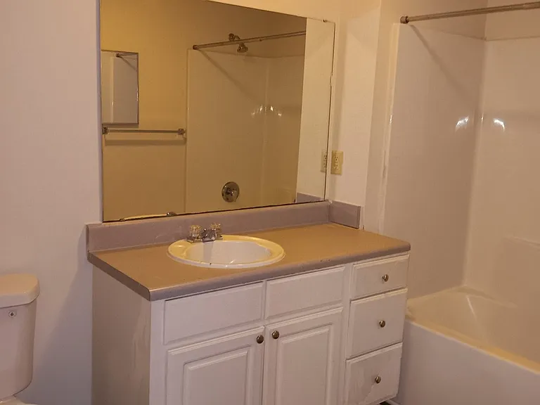 Forrest Brook — Photo 10