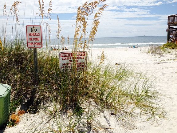 3rd image of Palmetto Dr