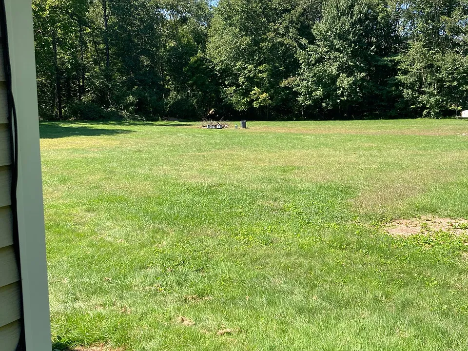 Open Spacious Yard