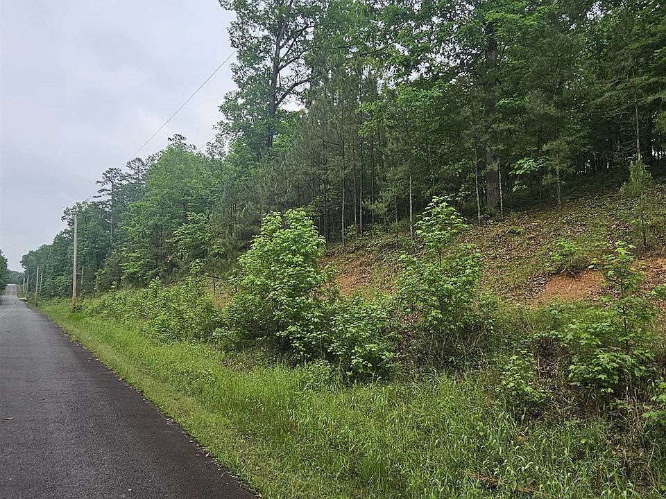 2nd image of 21 Bald Eagle Dr