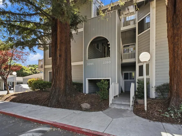3395 Pinewood Ter APT 304, Fremont, CA 94536