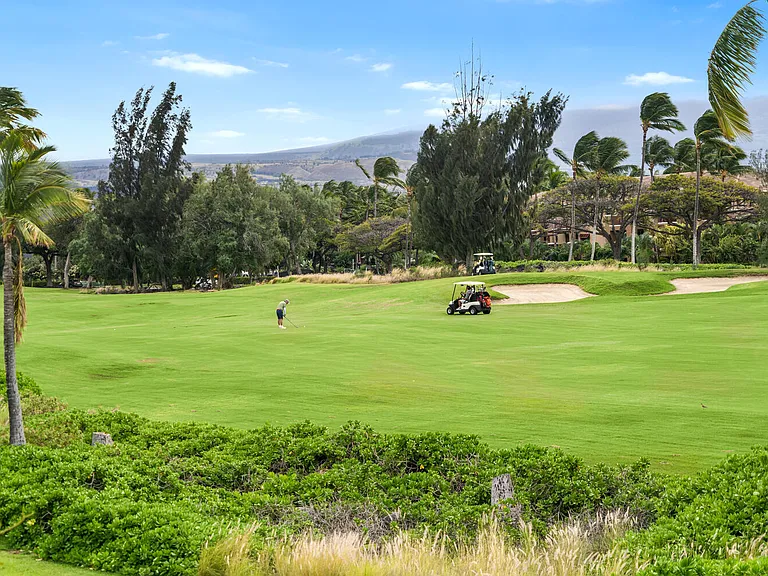 69-555 Waikoloa Beach Dr #804 — Photo 30