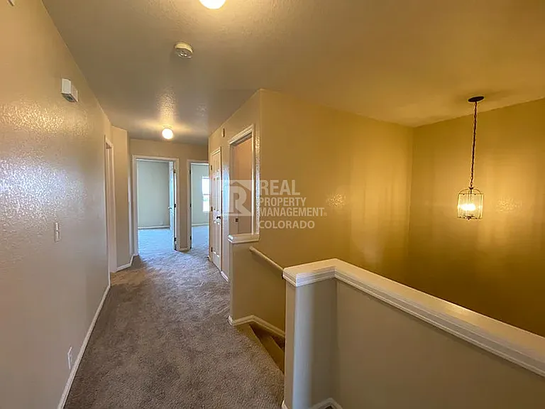 206 Alyssum Dr — Photo 14