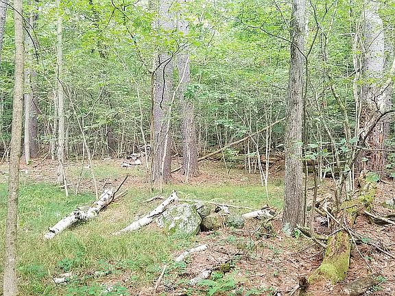 5th image of 353 Flat Rock Rd