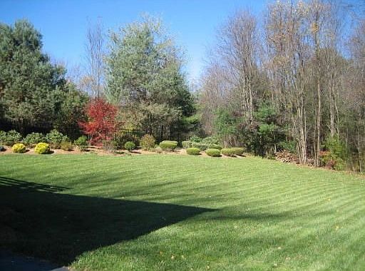 Lawn and Garden area