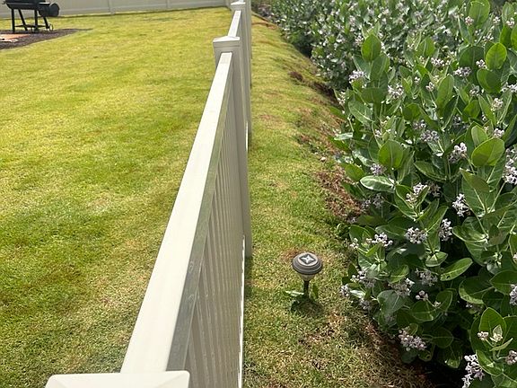 Crown flowers planted along home fence line, mitigating overgrowth of weeds