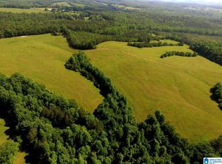 Oaks Chapel Rd #76, Goodwater, AL 35072