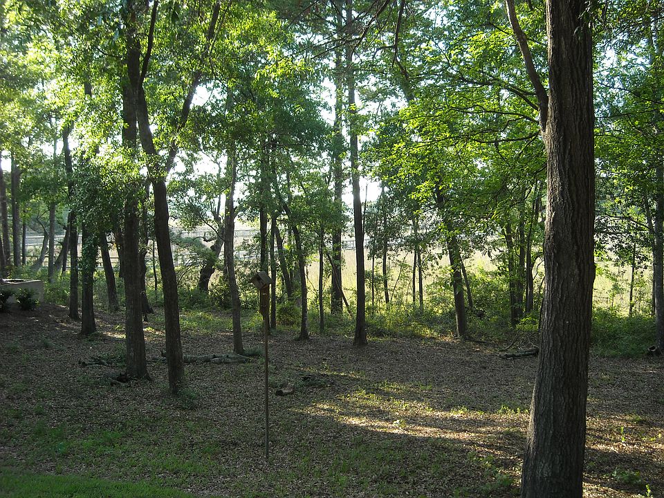 2nd image of 128 Cape May Ln