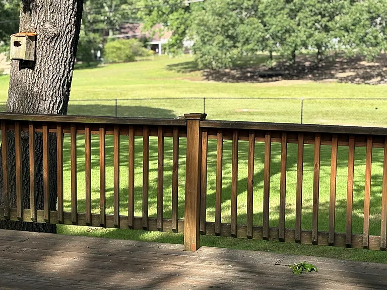 view from back deck. No homes behind you.