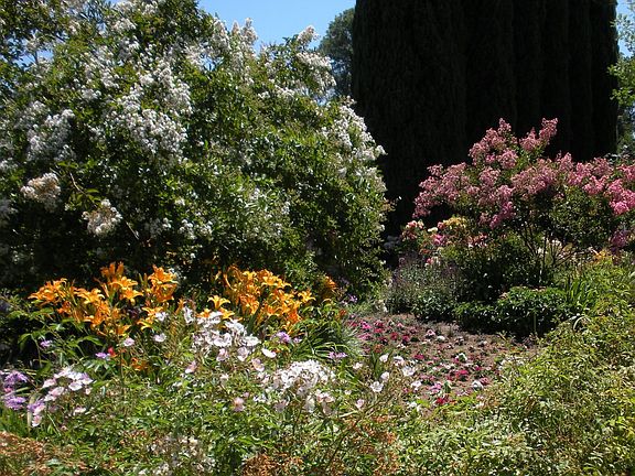No front lawn just lots of flowers