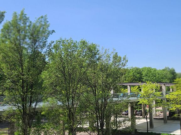 3rd image of 9655 Woods Dr Unit 306