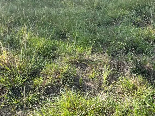 790 Oak Point Dr, May, TX 76857