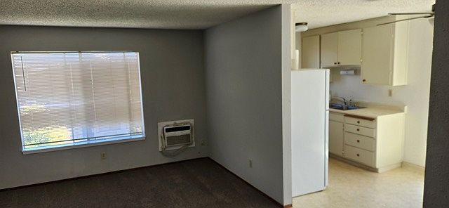 Front Room / Kitchen