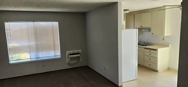 Front Room / Kitchen